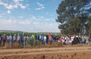 El Consell refuerza su apoyo al sector vitivinícola en busca de sostenibilidad y competitividad