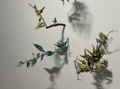 El Museu de Belles Arts de Castelló Acoge la Exposición ‘Terra Erma’ de Vicent Carda