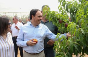 Pérez Llorca presenta la mayor convocatoria de ayudas para modernizar explotaciones agrarias en la Comunitat Valenciana, dotada con 50 millones de euros