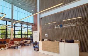 El Hospital Clínico Veterinario de UAX cumple dos décadas como referencia en veterinaria