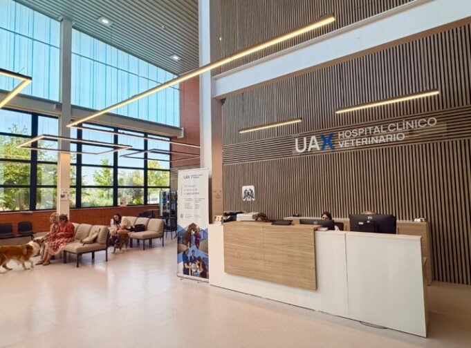 El Hospital Clínico Veterinario de UAX cumple dos décadas como referencia en veterinaria