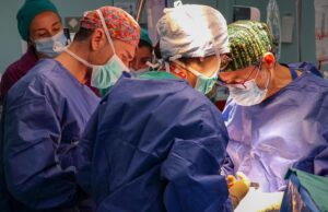 El Hospital La Fe supera las diez donaciones renales de vivos en el primer semestre de 2026