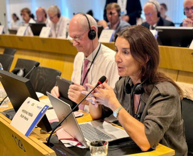 La_Generalitat_de_Valencia_aboga_por_la_participacion_regional_en_la_defensa_de_la_UE_en_Bruselas.jpg