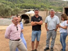 La ganadería extensiva, clave en la prevención de incendios forestales, según Barrachina