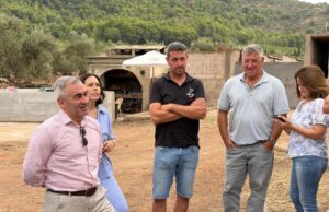 La ganadería extensiva, clave en la prevención de incendios forestales, según Barrachina
