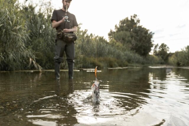 La_Generalitat_Implementa_un_Sistema_Telematico_para_Gestionar_Licencias_de_Pesca_Recreativa_en_la_Comunitat_Valenciana.jpg