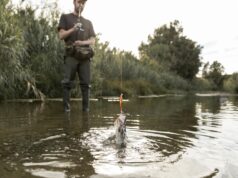 La Generalitat Unifica el Proceso de Solicitud de Licencias de Pesca Marítima Recreativa en Aguas Interiores de la Comunitat Valenciana