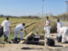 La Generalitat ejecuta 173 actuaciones de conservación en l’Albufera en el primer cuatrimestre de 2026