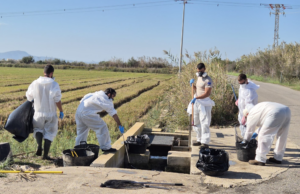 La Generalitat ejecuta 173 actuaciones de conservación en l’Albufera en el primer cuatrimestre de 2026
