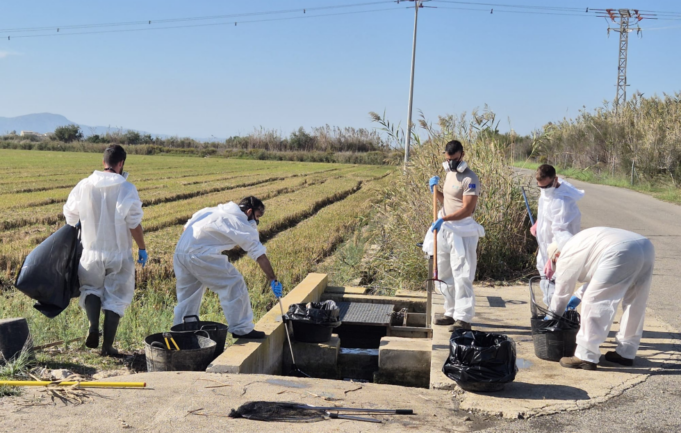 La Generalitat ejecuta 173 actuaciones de conservación en l’Albufera en el primer cuatrimestre de 2026