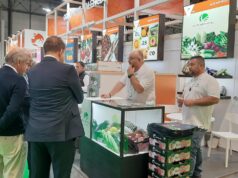 La Generalitat impulsa la participación de 200 empresas en ferias agroalimentarias internacionales para 2026