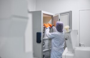 La edad al vitrificar los óvulos es el principal factor para preservar su potencial