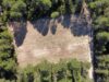 Requena y Utiel impulsan la gestión forestal para frenar el fuego y la despoblación