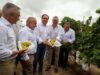 Anuncio de nueva ayuda de 8 millones de euros para jóvenes agricultores en la Comunitat Valenciana