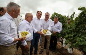 Anuncio de nueva ayuda de 8 millones de euros para jóvenes agricultores en la Comunitat Valenciana