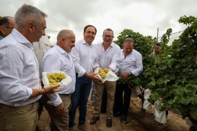 Anuncio_de_nueva_ayuda_de_8_millones_de_euros_para_jovenes_agricultores_en_la_Comunitat_Valenciana.jpg