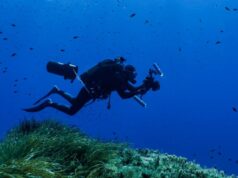 Una misión científica de Bluewave Alliance explorará los fondos casi desconocidos del Banco Talbot