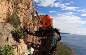 La Comunitat Valenciana, líder en la conservación de flora amenazada en España
