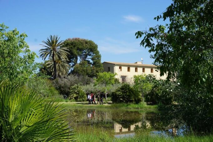 La Generalitat de Valencia lanza nuevos cursos gratuitos para fomentar la sostenibilidad y el conocimiento ambiental