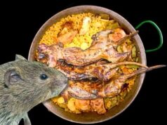 La paella que nadie te contó: la rata se escondió en la receta más famosa de Valencia
