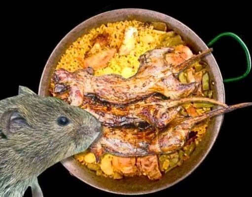 La paella que nadie te contó: la rata se escondió en la receta más famosa de Valencia