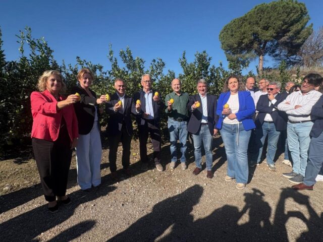 Barrachina_destaca_la_importancia_de_la_Vega_Baja_en_la_produccion_de_limon_durante_el_Corte_del_Limon_en_Orihuela.jpg