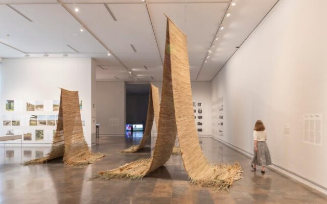 El_IVAM_Cierra_la_Exposicion_sobre_La_Albufera_con_un_Encuentro_Interdisciplinario.jpg