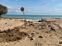 La Generalitat exige al Gobierno central la limpieza de las playas tras el paso de la dana Adam