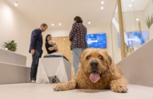 La pérdida de una mascota abre una nueva demanda de apoyo entre los jóvenes